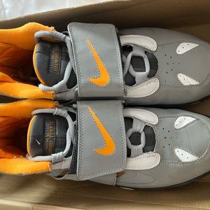 Nike air diamond turf (2012)